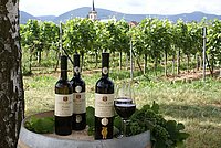 Weingut Werner Anselmann