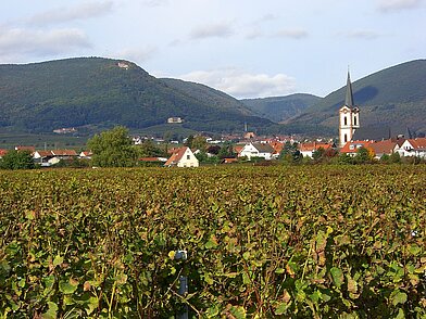 Edesheim (im Hintergrund Schloss Villa Ludwigshöhe und Rietburg)
