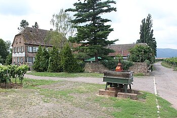 Weingut u. Weinstube Erlenmühle (Straußwirtschaft)