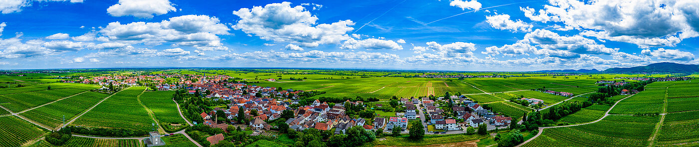 Edesheim aus der Luft