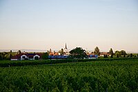 Weingut Erich Braun & Söhne