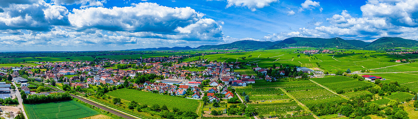 Die Gemeinde Edesheim aus der Luft