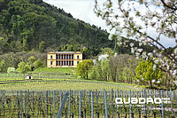 Schloss Villa Ludwigshöhe