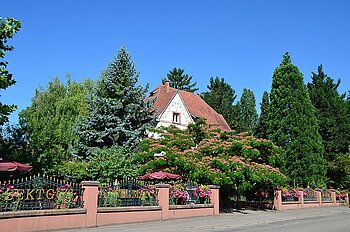 Brunnenterrasse Werner Anselmann  Weingut (Straußwirtschaft)