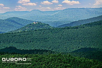 Biosphärenreservat Pfälzerwald