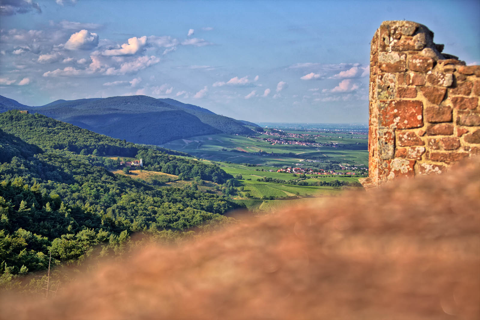 Edesheimer Waldadvent